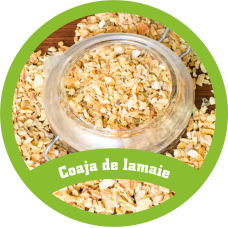 Coaja de lamaie